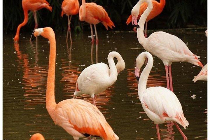 12 Days Kenya wildlife Safari Holidays
