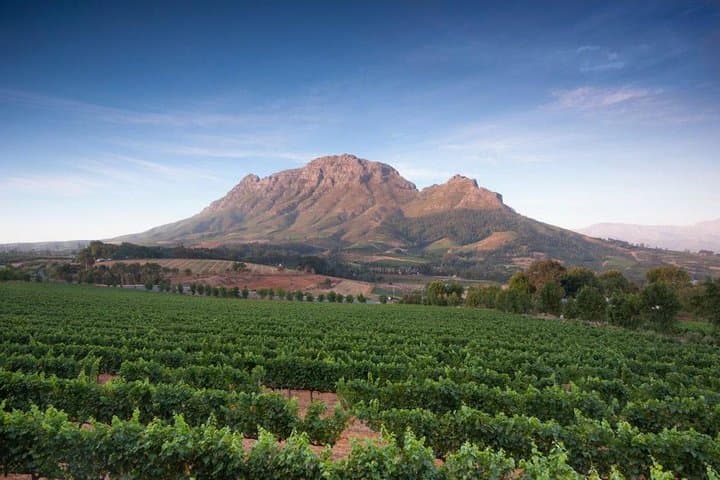 Cape Winelands Tour