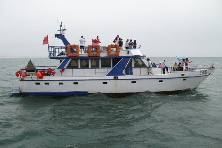Boat Tours in Agadir lunch including ( sea food )