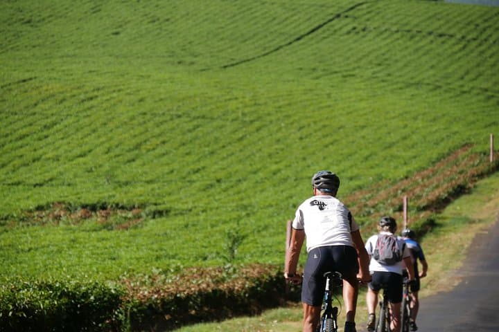 11 Days Kenya Cycling Biking Safari Adventures