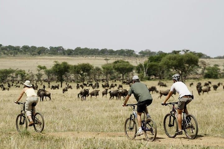 11 Days Kenya Cycling Biking Safari Adventures