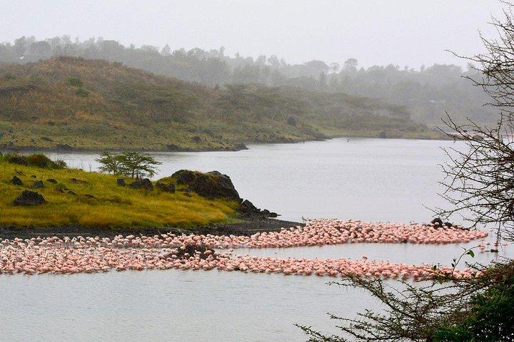 Day Trip To Arusha National Park