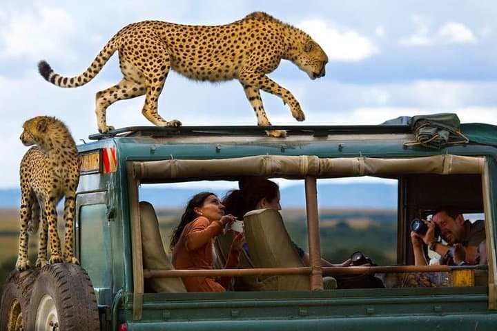 8 Days Kenya Photographic Safari