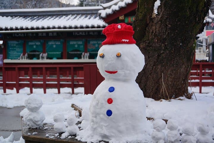 Private Tour Nami Island with Petite France 'and/or' The Garden of Morning Calm