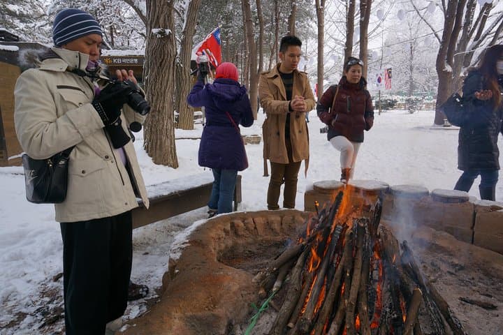 Private Tour Nami Island with Petite France 'and/or' The Garden of Morning Calm