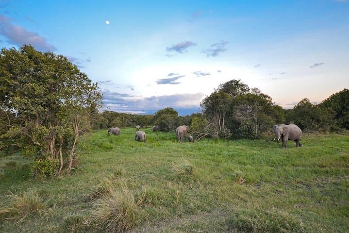 4 Days Ol Pejeta & Samburu National Reserve Safari