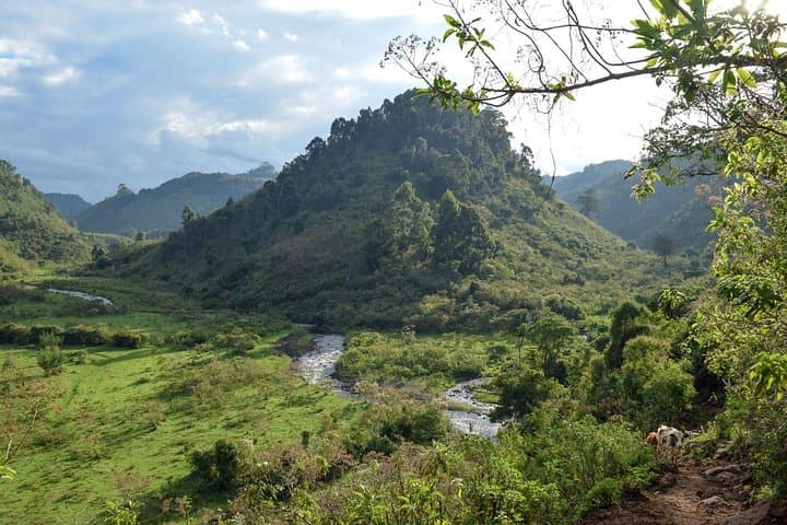 4 Days Aberdares National park & Samburu National Reserve Wildlife Safari