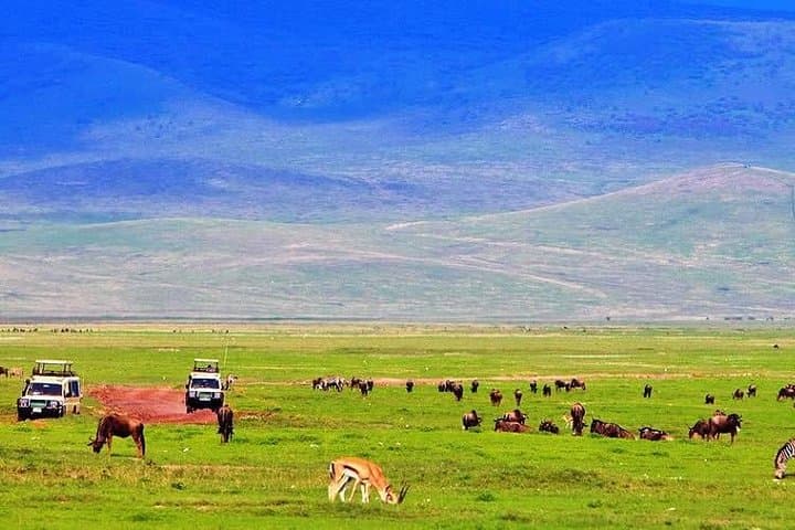 12 Days Kenya Safari Holidays