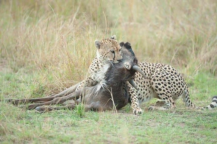 8 Days Kenya Photographic Safari
