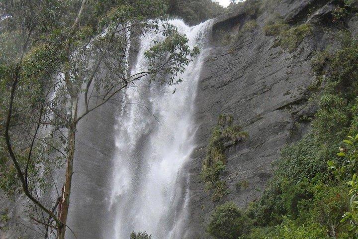 Day Trip to Nuwara eliya from Kandy