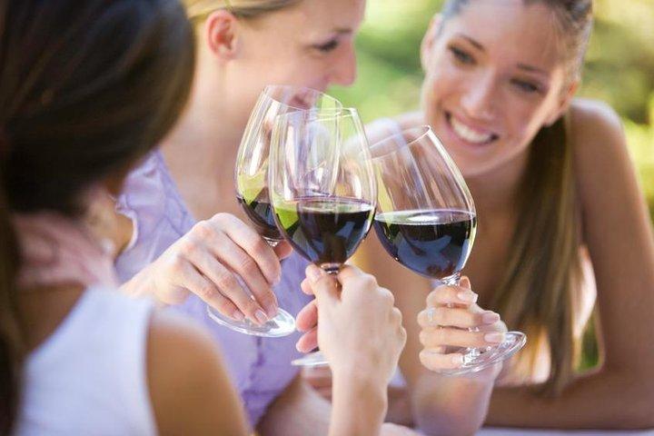 Verde Valley Wine Tour - 4 Vineyards, Limo Style Bus, Charcuterie