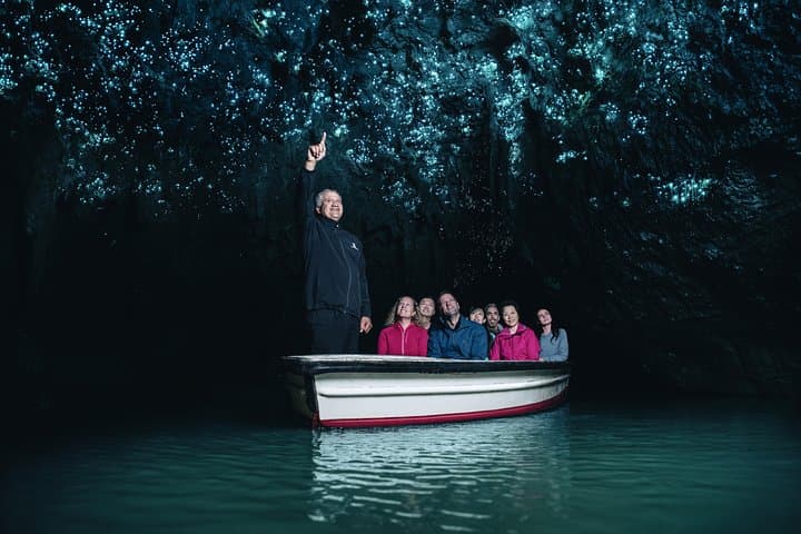 Private tour from Auckland - Waitomo Glowworm Caves, Zealong Tea & Kiwi Bird