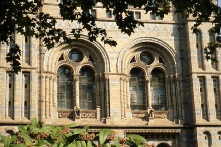 London Natural History Museum Private Tour for Kids & Families