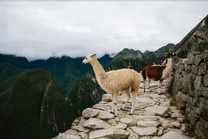 2 day hike to Machu Picchu