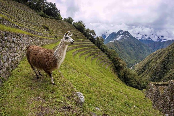2 day hike to Machu Picchu