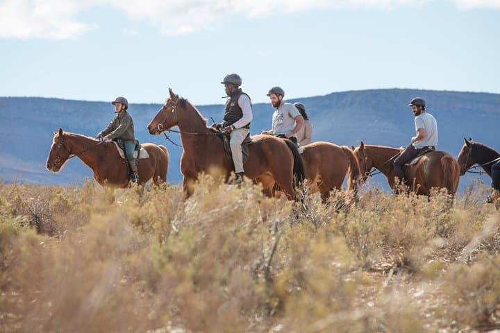 Cape Town Safari Big 5 experience all inclusive