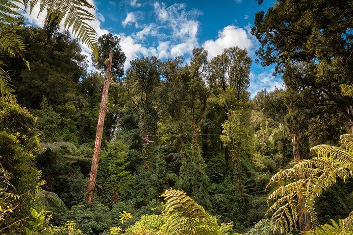 2 Day Rotorua Experience: Waitomo Caves, Maori Culture & Ziplining from Auckland