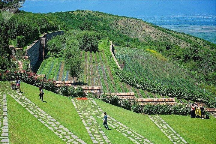 Kakheti Wine Tour from Tbilisi: Sighnaghi, Bodbe &7 Wine Tastings