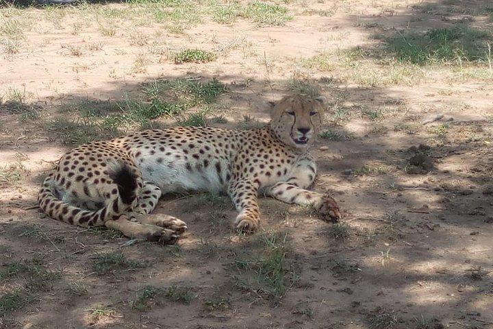 3 Days Budget Breathtaking Safari in Maasai Mara, Kenya