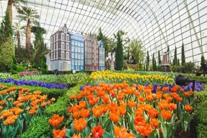 Gardens By The Bay E Tickets