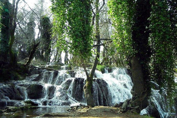 Middle Atlas day Trip from Fez