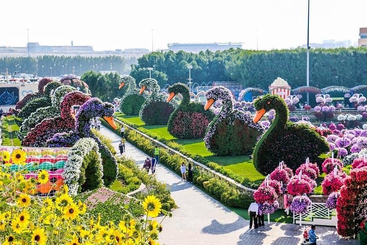 Dubai Global Village and Miracle Garden Tour with Transfers
