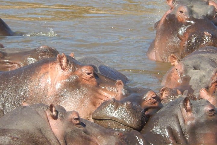 Hells Gate national Park and Lake Naivasha boat ride Day tour