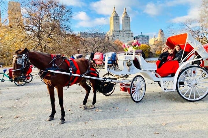 45 Minute VIP Central Park Carriage Ride