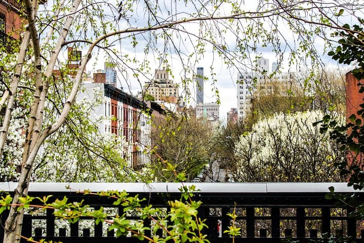New York High Line Park Walking Tour