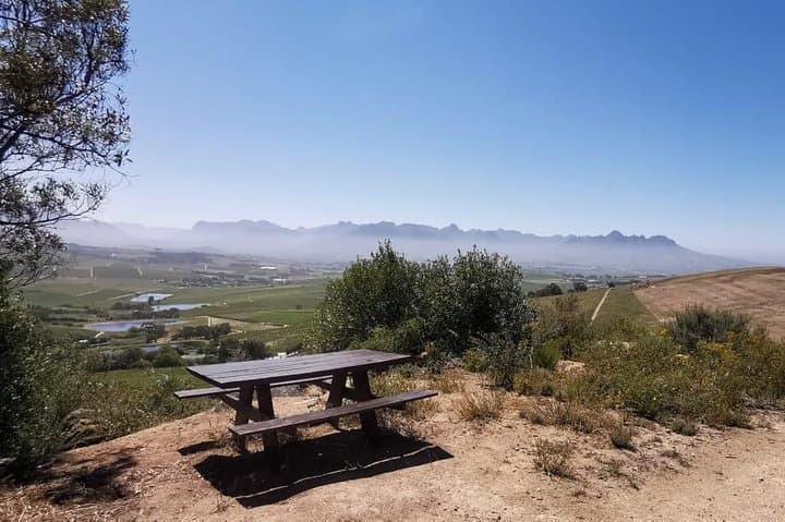 Cape Town: E-bike Wineland tour half-day