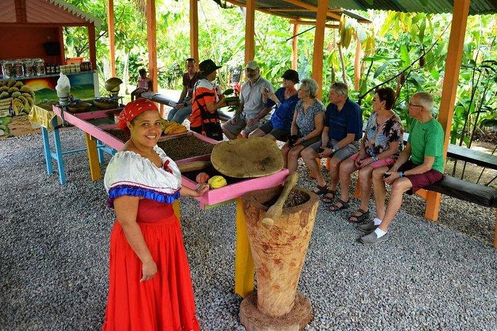 Half-Day Dominican Republic Safari Tour from Punta Cana