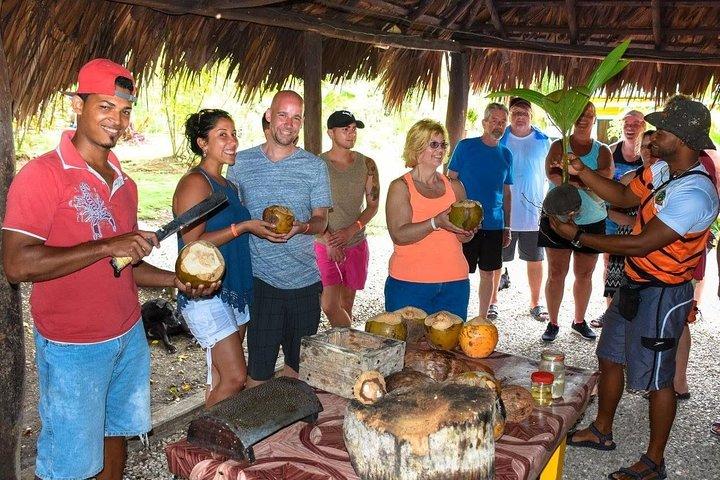Half-Day Dominican Republic Safari Tour from Punta Cana
