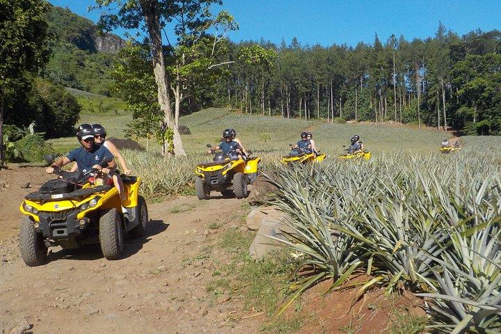 Small Quad Tour 2h30 Quad excursion in Moorea (single or two-seater)