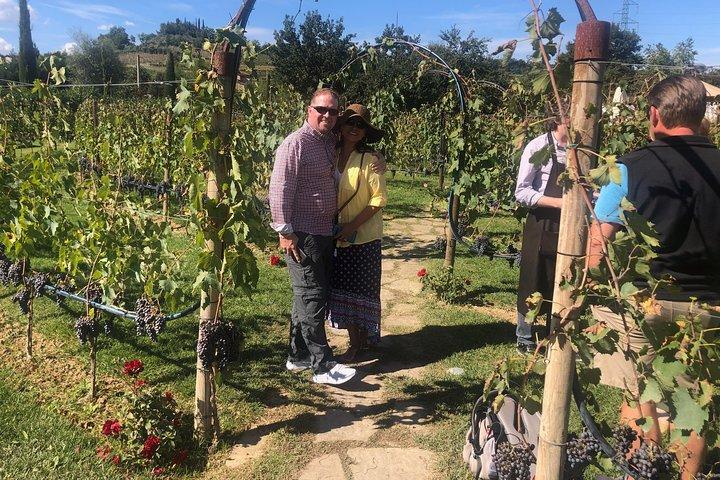 Tuscany Brunello wine tour (12hrs) Montalcino, Montepulciano