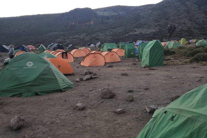 Climbing Kilimanjaro - Machame Route