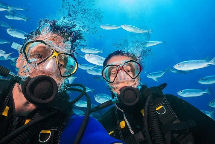 From Luxor : Utopia Island Royal VIP Snorkeling Sea Trip