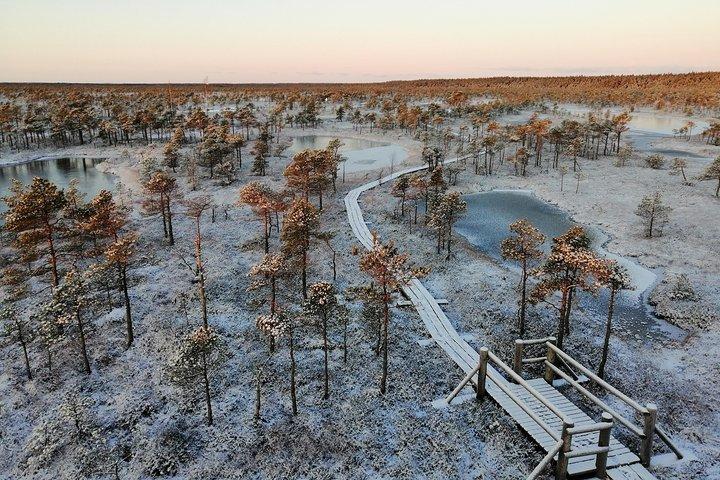 Sunrise at Kemeri National park + Jurmala