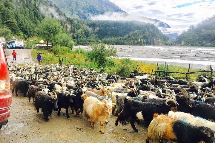 3Days 4WD Private Jeep Drive to MUSTANG-Jomsom/Muktinath from Pokhara