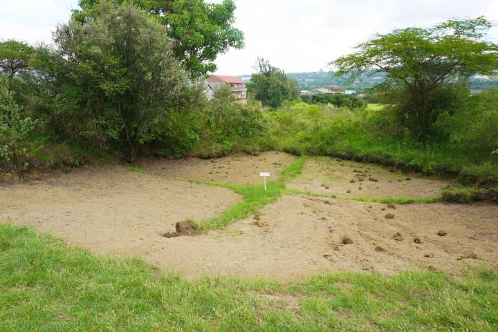 Kariandusi Prehistoric Site and Hyrax Hill Day Tour
