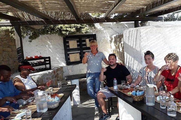Visit the Mykonian Farm in Mykonos