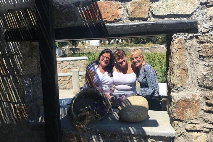 Visit the Mykonian Farm in Mykonos