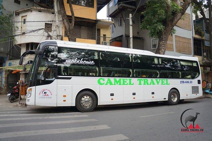 Bus ticket Ninh Binh To Phong Nha