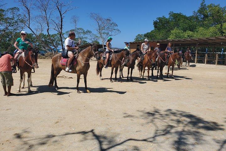 Roatan Excursion: Horseback Ride / Sloths park / Snorkel With Beach Break