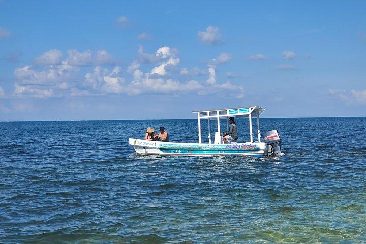 Roatan Excursion: Horseback Ride / Sloths park / Snorkel With Beach Break