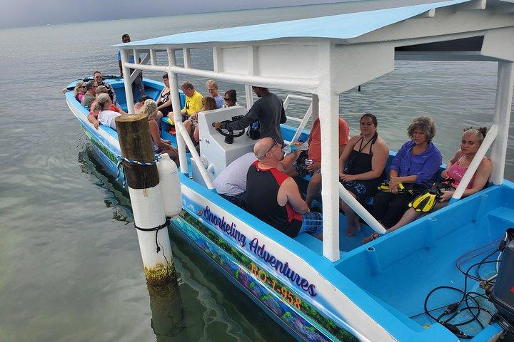 Roatan Excursion: Horseback Ride / Sloths park / Snorkel With Beach Break