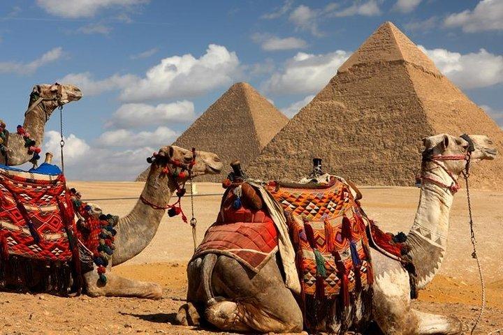Quick Cairo Layover to Giza Pyramids, Museum, Bazaar from Airport