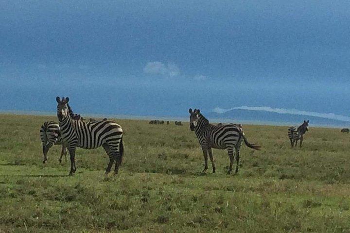 3 Days Serengeti & Ngorongoro Tour