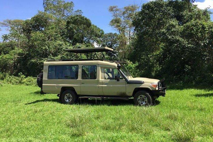 3 Days Serengeti & Ngorongoro Tour