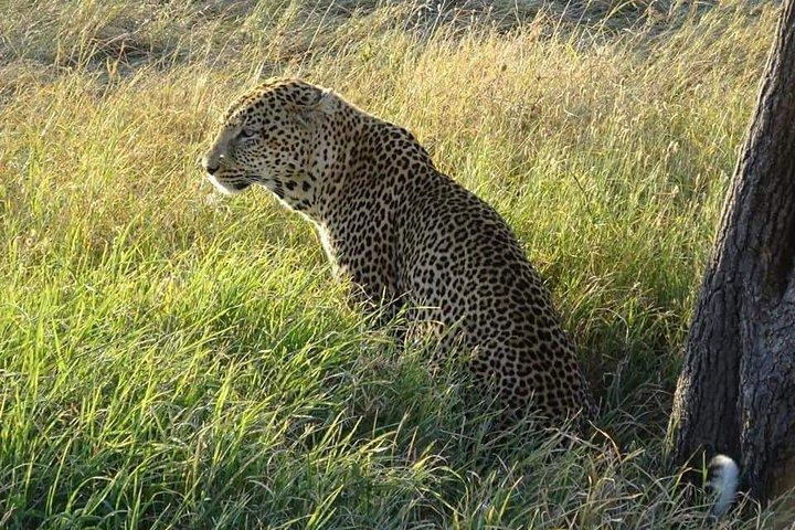 3 Days Serengeti & Ngorongoro Tour