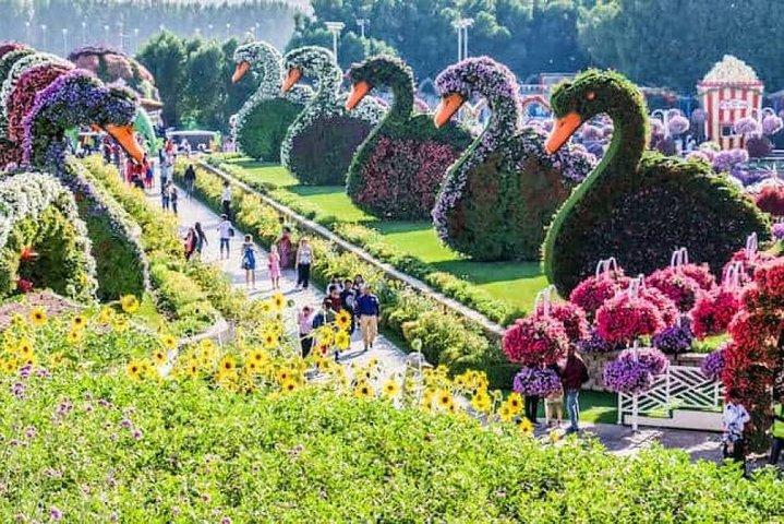 Dubai Trio Tour: Miracle Garden•Butterfly Garden •Global Village